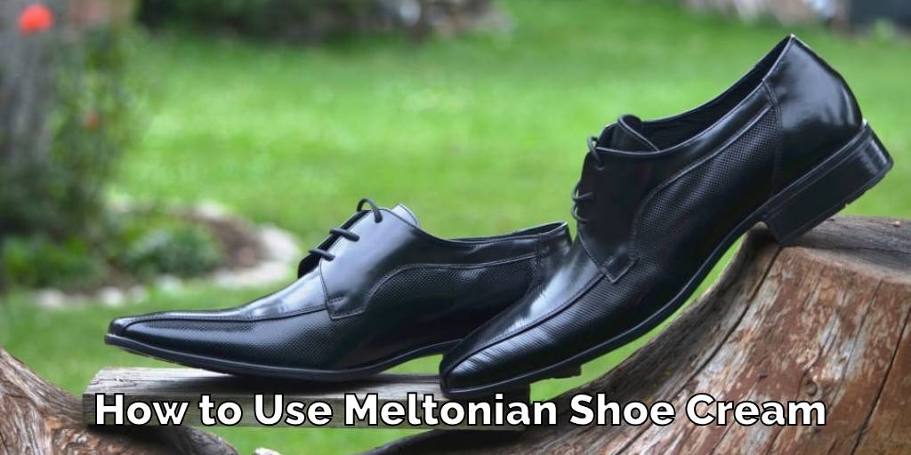 How to Use Meltonian Shoe Cream