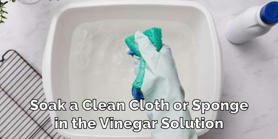 Soak a Clean Cloth or Sponge
in the Vinegar Solution