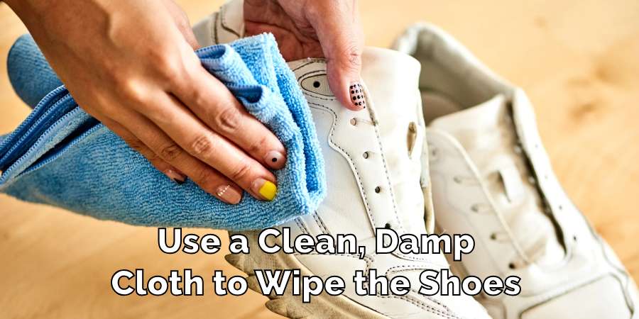 Use a Clean, Damp
Cloth to Wipe the Shoes