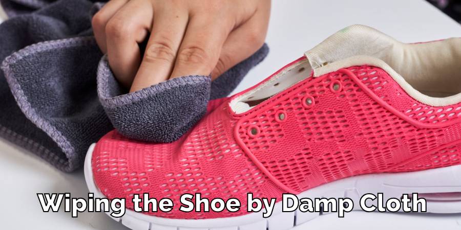 Wiping the Shoe by Damp Cloth