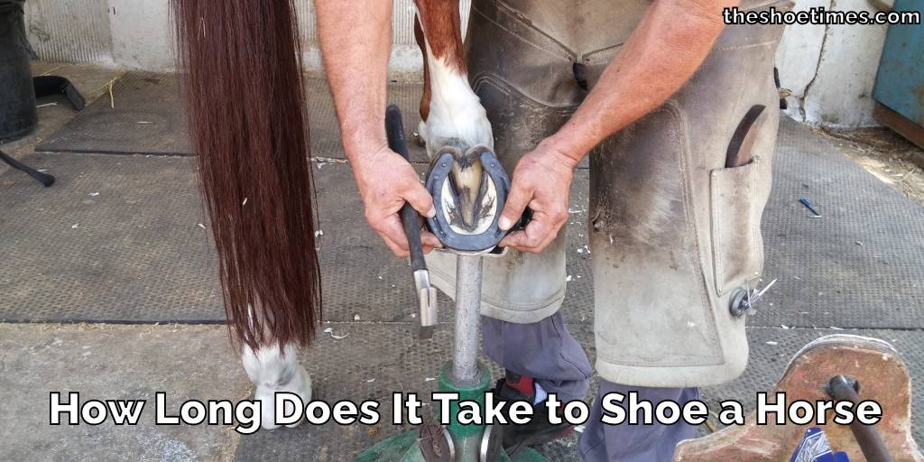 How Long Does It Take to Shoe a Horse