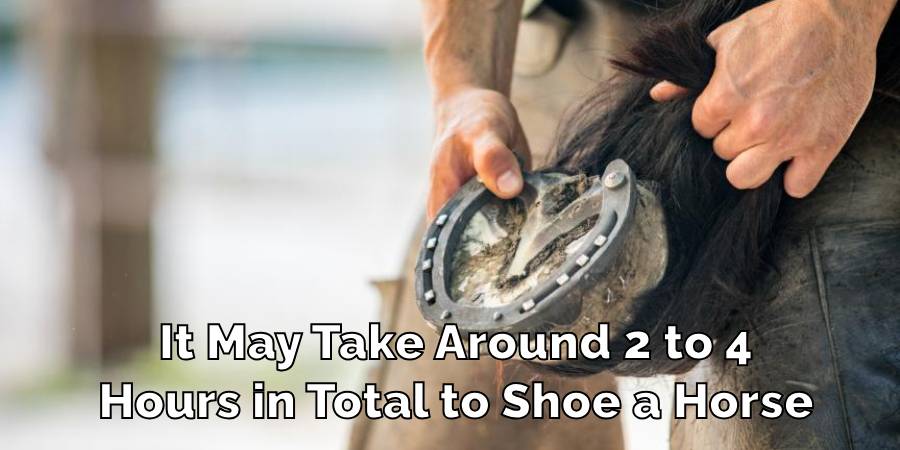 It May Take Around 2 to 4
Hours in Total to Shoe a Horse