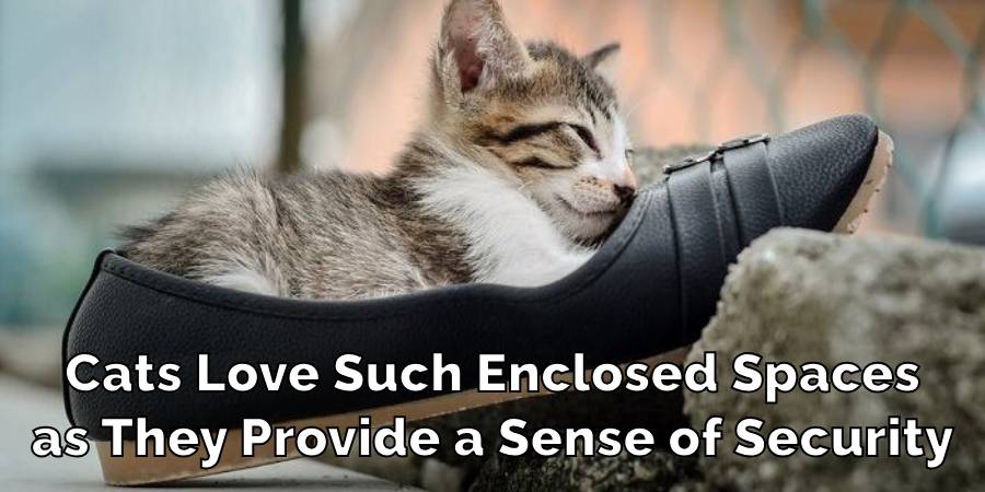 Cats Love Such Enclosed Spaces
as They Provide a Sense of Security