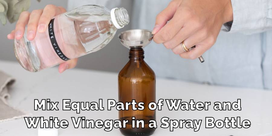 Mix Equal Parts of Water and
White Vinegar in a Spray Bottle