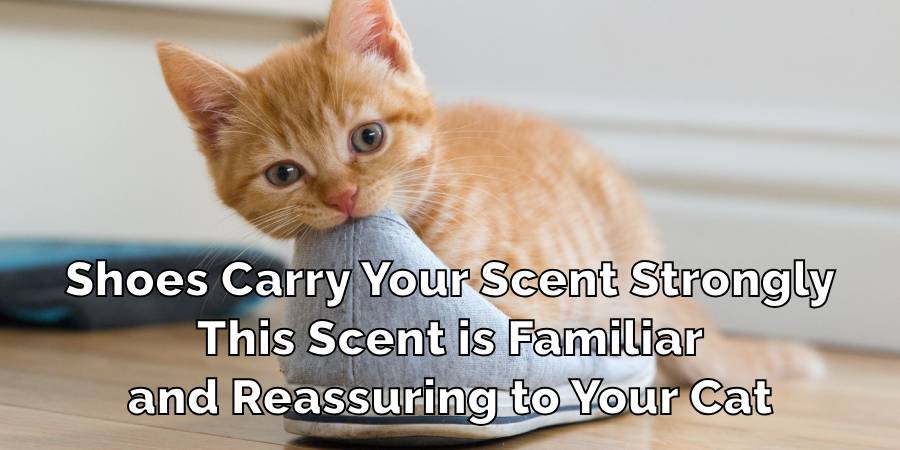 Shoes Carry Your Scent Strongly.
This Scent is Familiar
and Reassuring to Your Cat